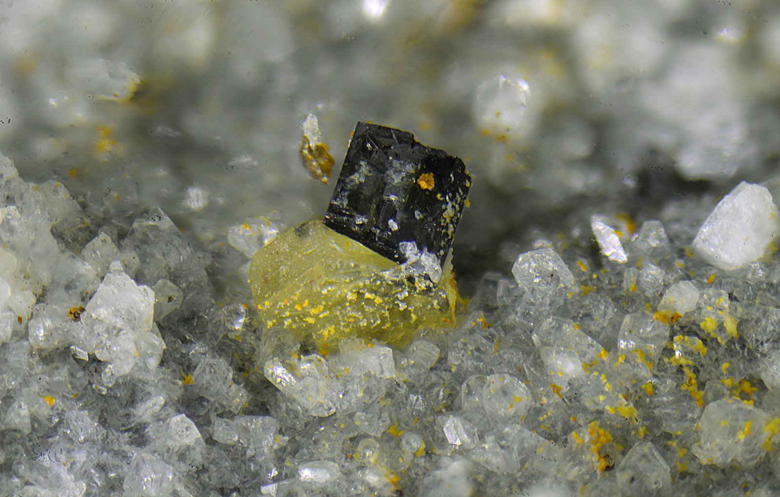 Synchysita-(Ce) y anatasa azul
Campo de visión de 2 mm.
(Autor: Antonio Carmona)