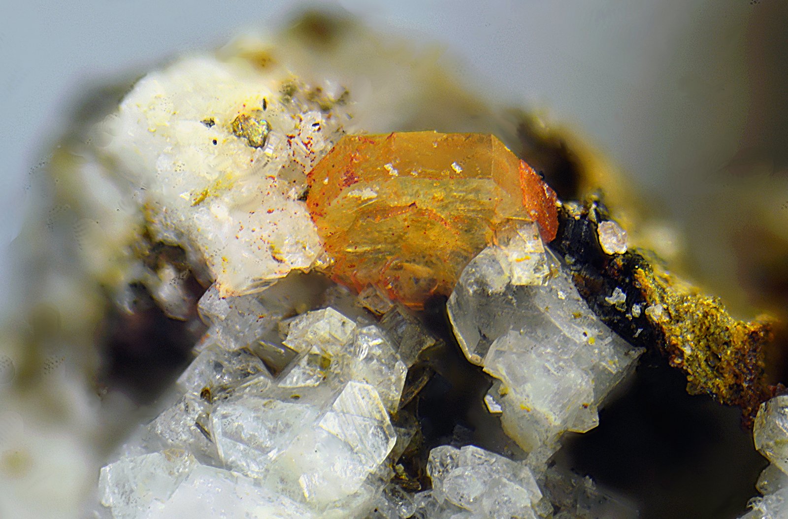 Synchysita-(Ce)
Campo de visión de 2 mm.
(Autor: Antonio Carmona)