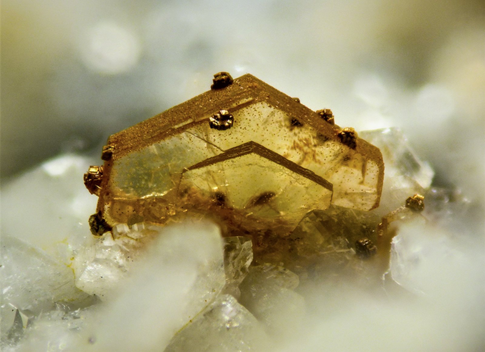 Synchisita-(Ce)
2 mm
(Autor: Borja Sainz de Baranda)