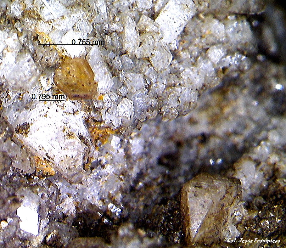 Synchysita-(Ce) y Cuarzo.
0´795 x 0´755 mm.
(Autor: Jesus Franquesa Baucells)