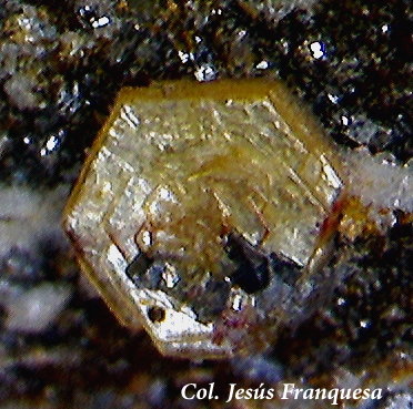 Synchysita-(Ce) y Anatasa.
1´53 x 1´34 mm.
(Autor: Jesus Franquesa Baucells)