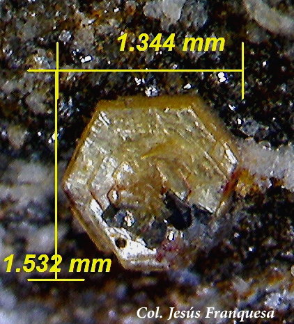 Synchysita-(Ce) y Anatasa.
1´53 x 1´34 mm.
(Autor: Jesus Franquesa Baucells)