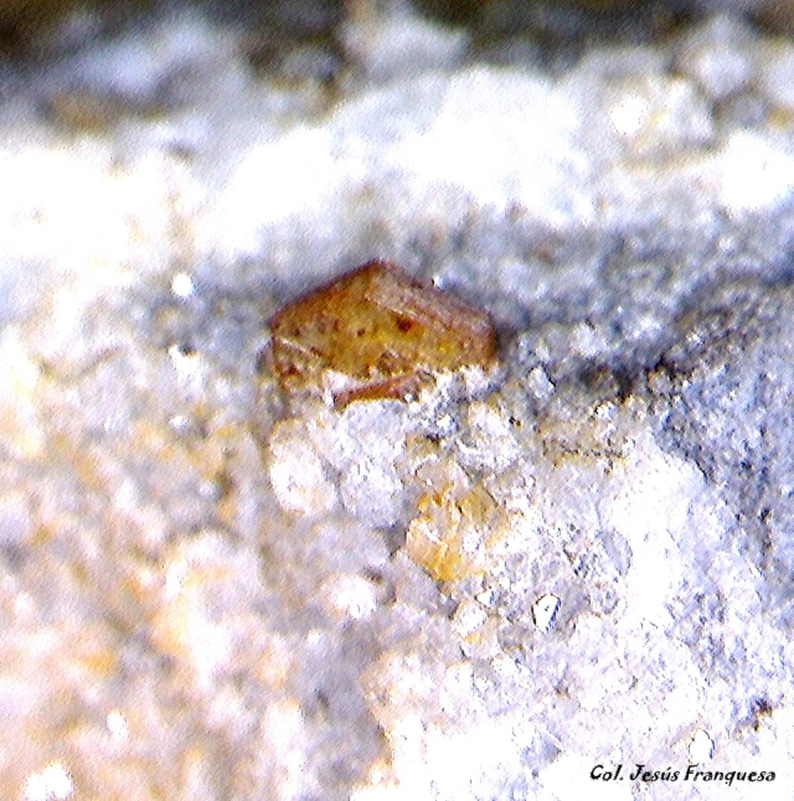 Synchysita-(Ce).
1´046 x 0´707 mm.
(Autor: Jesus Franquesa Baucells)