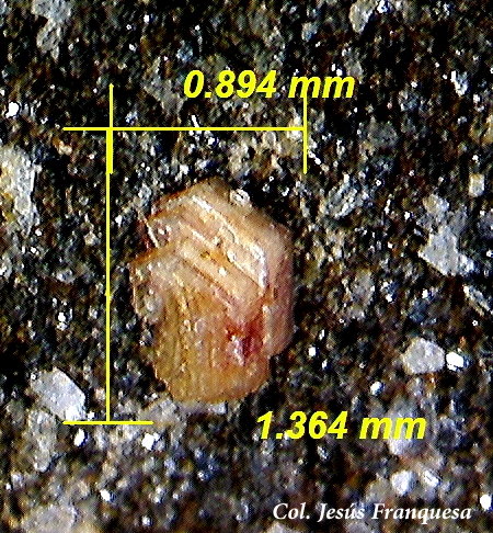 Synchysita-(Ce).
1´36 x 0´89 mm.
(Autor: Jesus Franquesa Baucells)