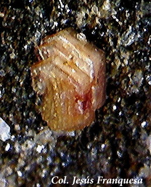 Synchysita-(Ce).
1´36 x 0´89 mm.
(Autor: Jesus Franquesa Baucells)