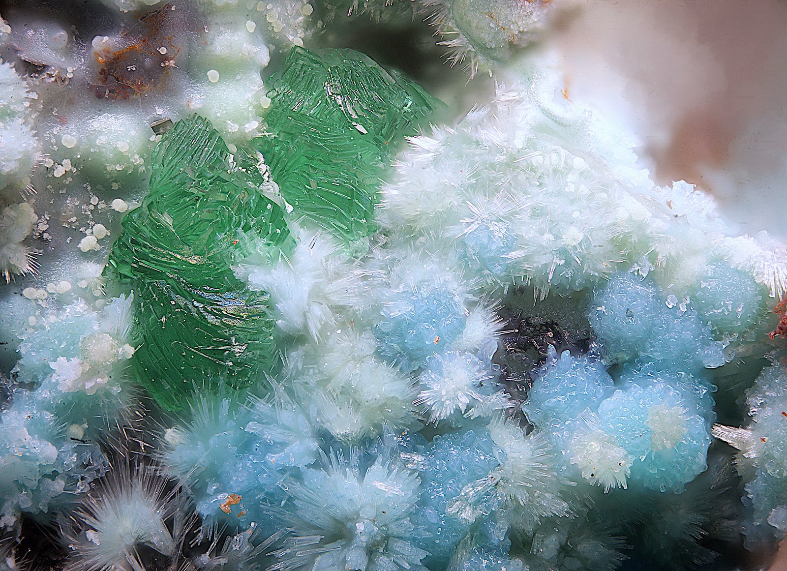 Goldhillita, crisocola y olivenita
Campo de visión de  2 mm.
(Autor: Antonio Carmona)