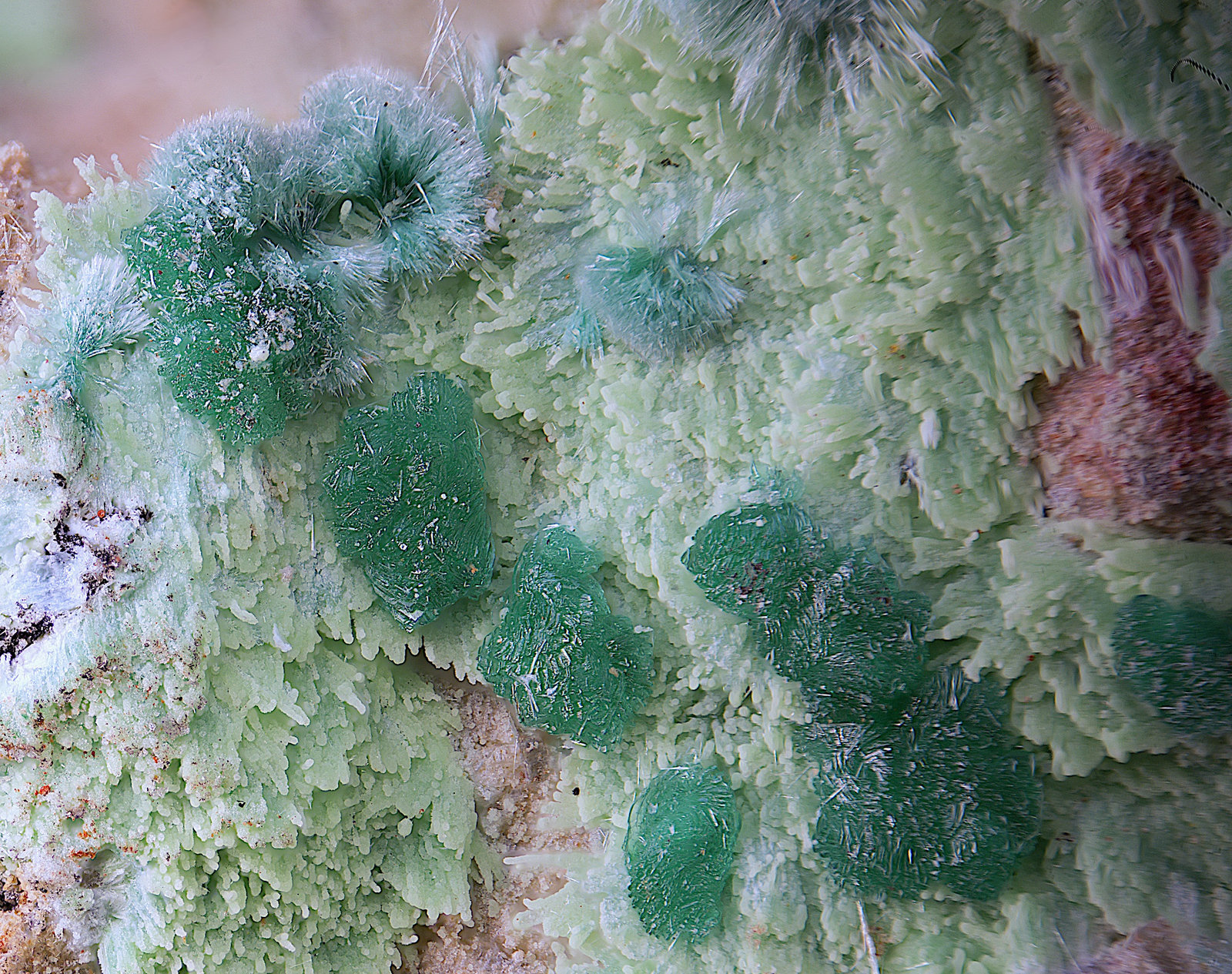 Goldhillita, crisocola y olivenita
Campo de visión de  3 mm.
(Autor: Antonio Carmona)