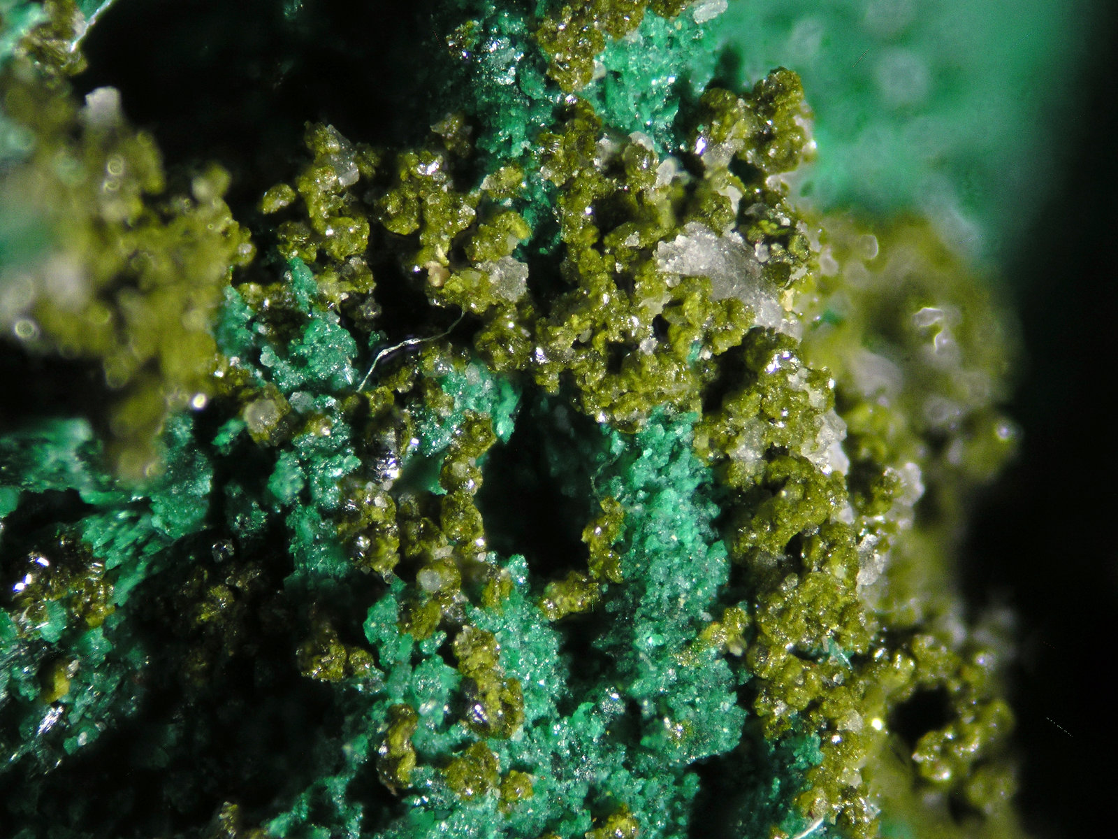 Tangeita
FOV 1.5 mm
(Autor: Cesar M. Salvan)
