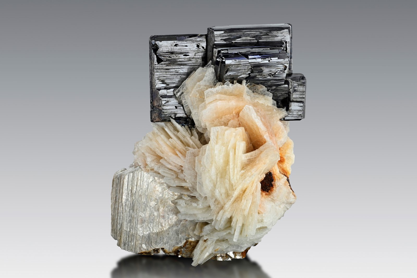 Tantalita-(Fe) en Albita y Moscovita
6 x 5 x 6.5 cm / Cristal principal: 5 cm.
(Autor: Museo MIM)