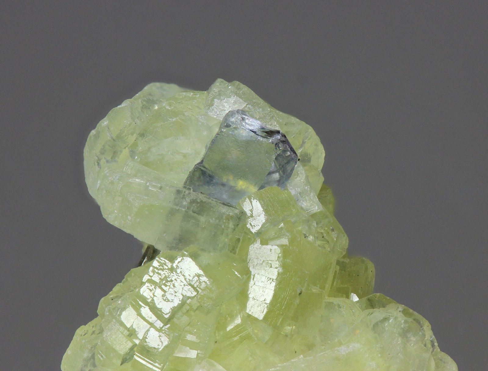 Zoisita (variedad tanzanita)
encuadre 20x20 mm
(Autor: Ramon A  Lopez Garcia)