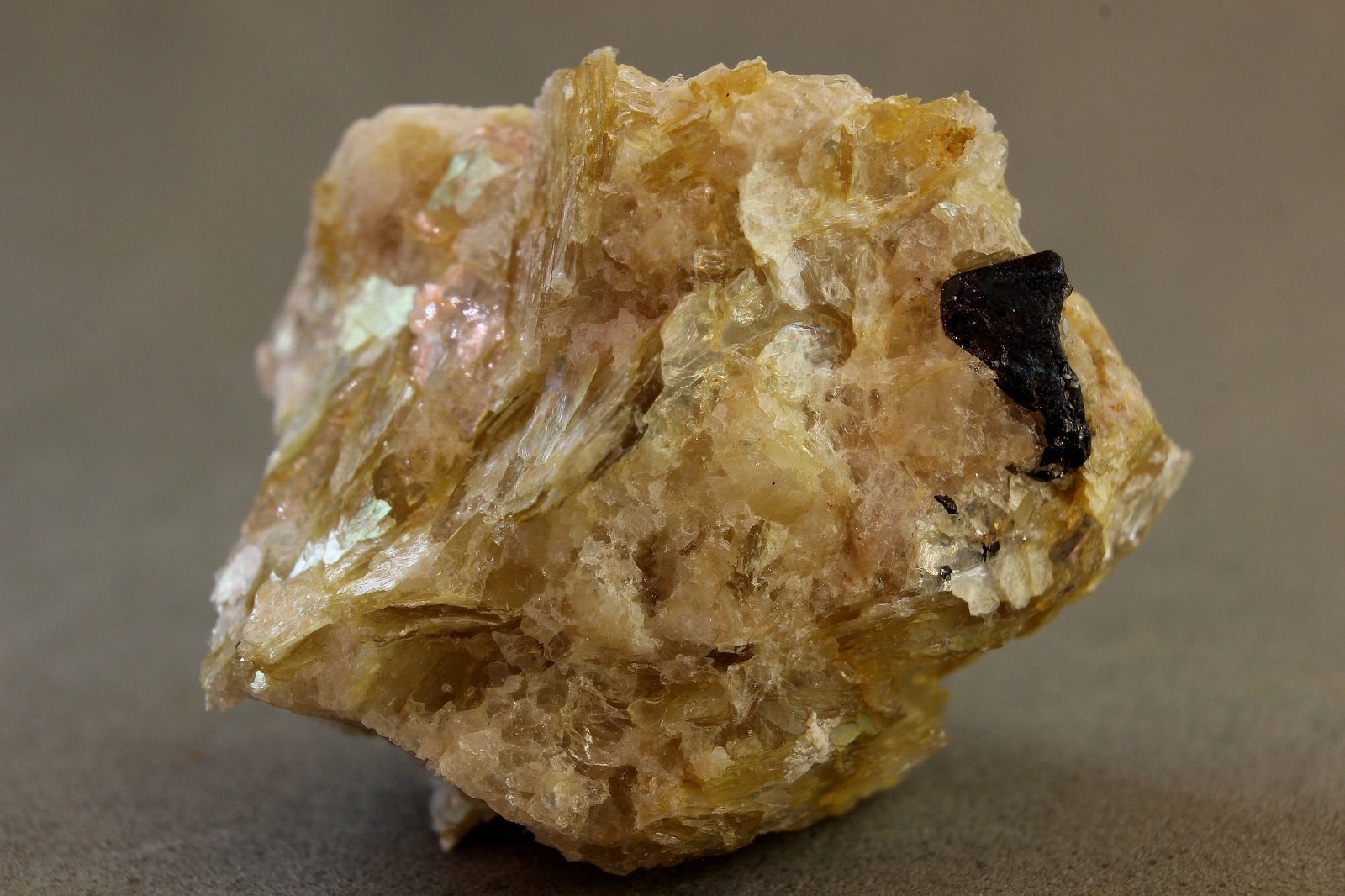 Tapiolita (Fe)
27x23x18 mm
(Autor: Juan Espino)
