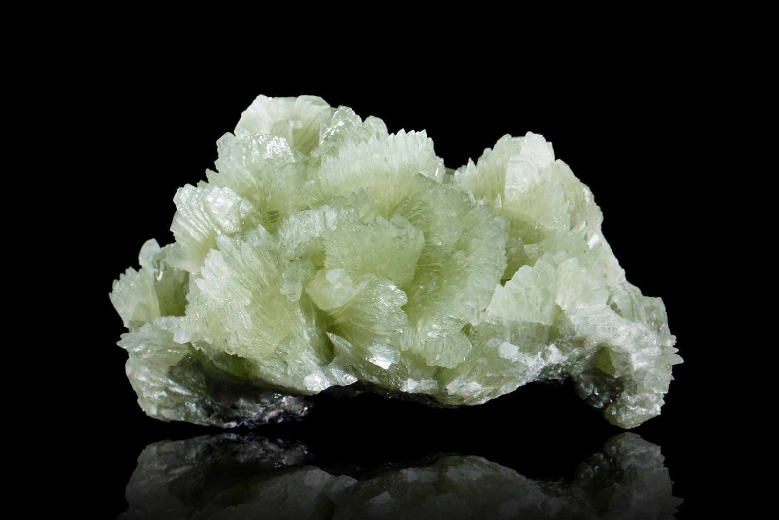 Tarbuttita
10 x 6 x 6 cm / Cristal principal: 2.7 cm
(Autor: Museo MIM)