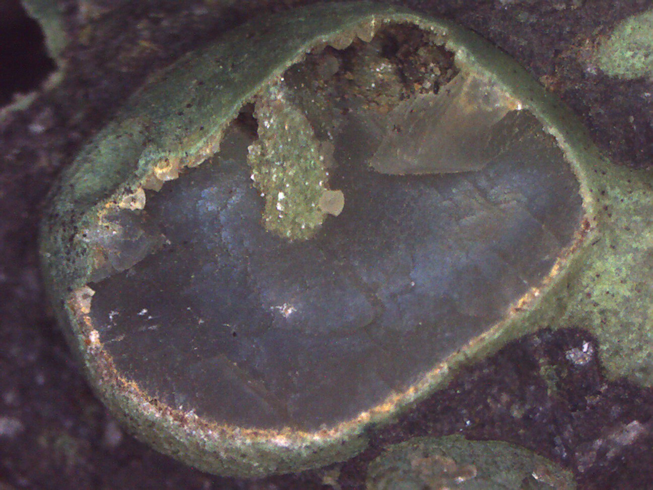 Calcita y Clinoptilolita-Ca
7 cm. (detalle)
(Autor: Jose Bello)