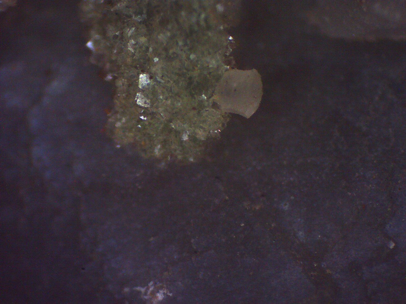 Calcita y Clinoptilolita-Ca
7 cm. (detalle)
(Autor: Jose Bello)