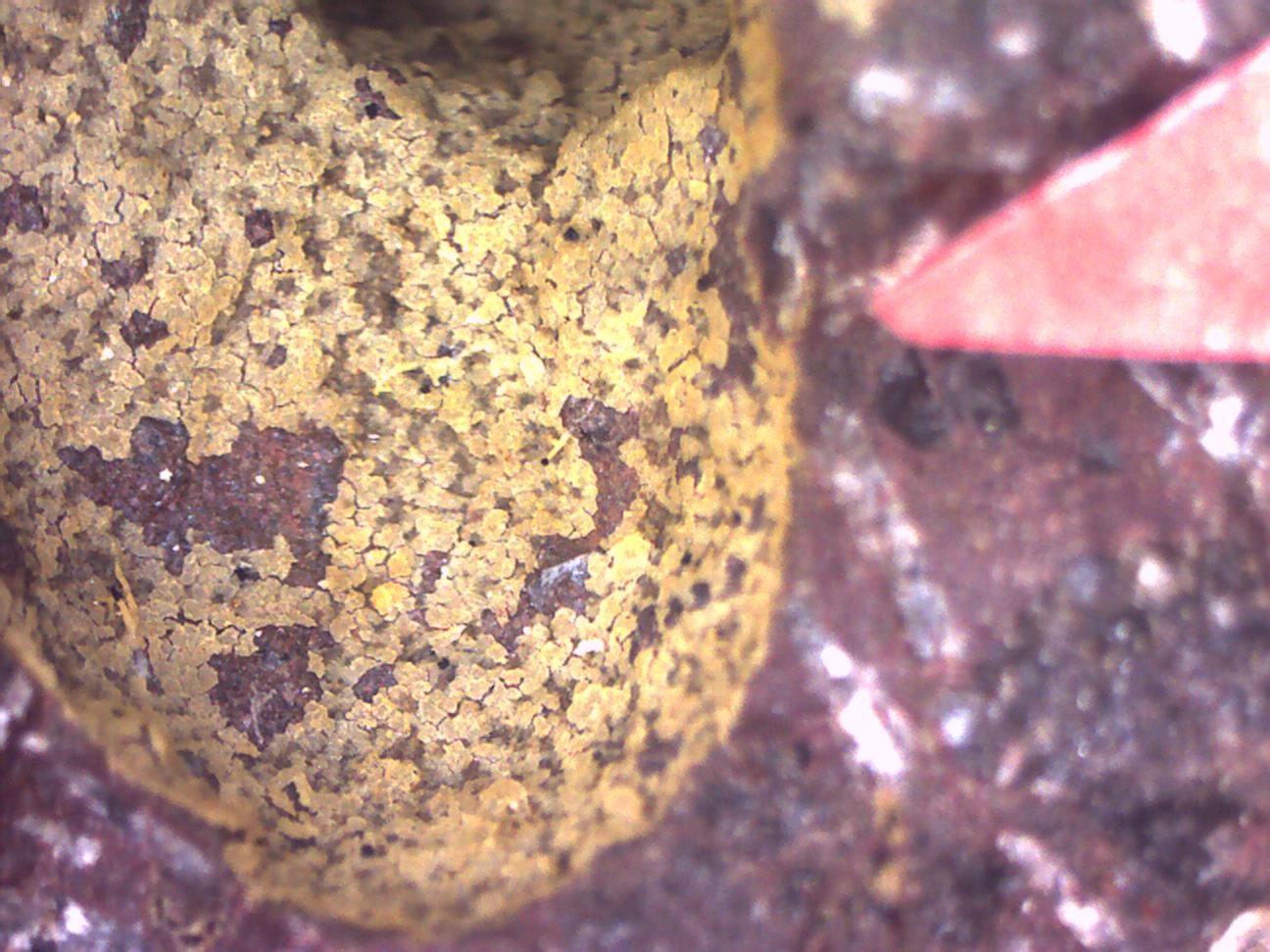 Montmorillonita
5 x 5 cm. (detalle)
(Autor: Jose Bello)
