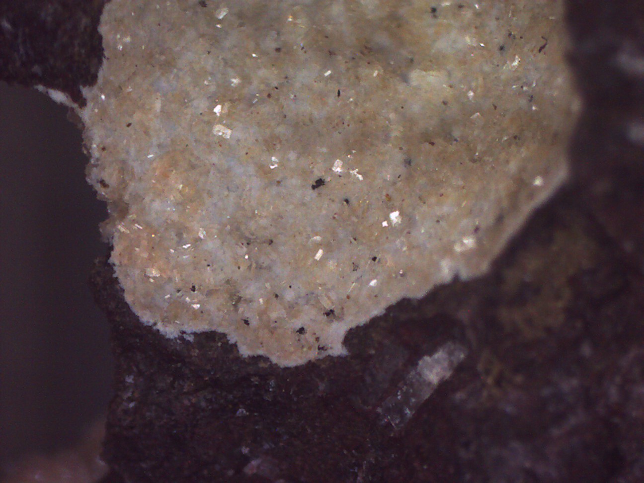 Clinoptilolita
5 x 5 cm. (detalle)
(Autor: Jose Bello)