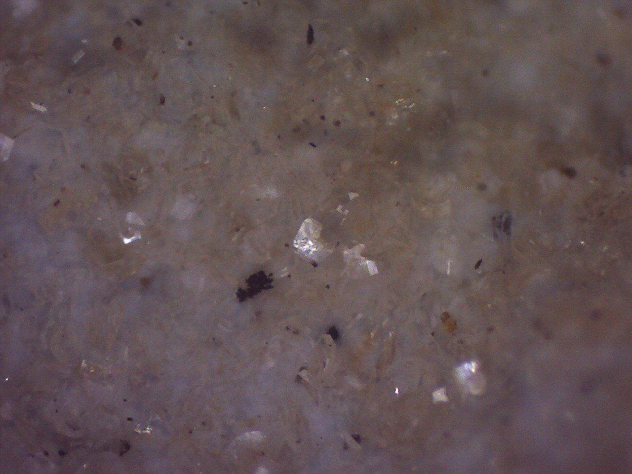 Clinoptilolita, Pirolusita
5 x 5 cm. (detalle)
(Autor: Jose Bello)