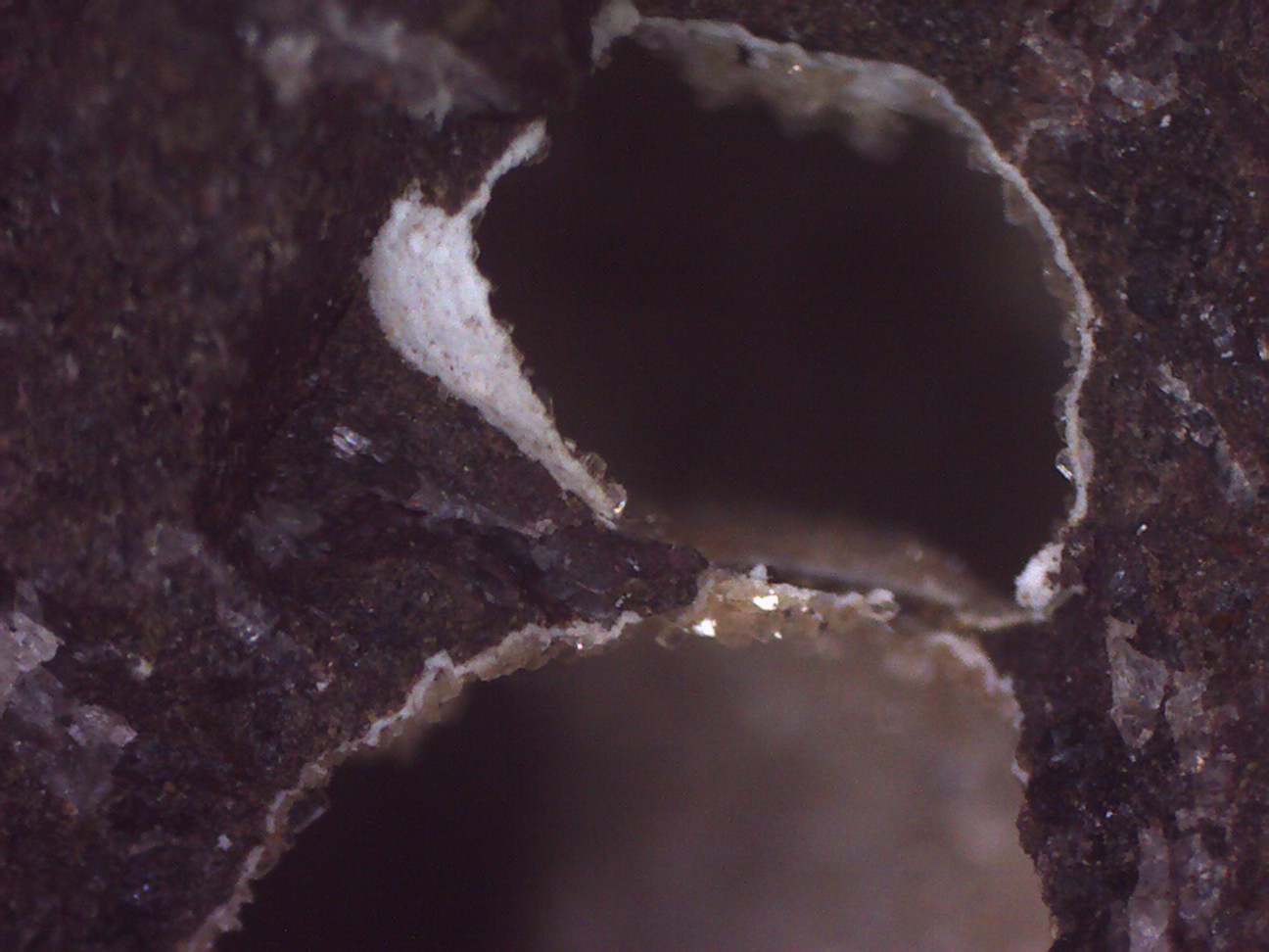 Clinoptilolita
5 x 5 cm. (detalle)
(Autor: Jose Bello)