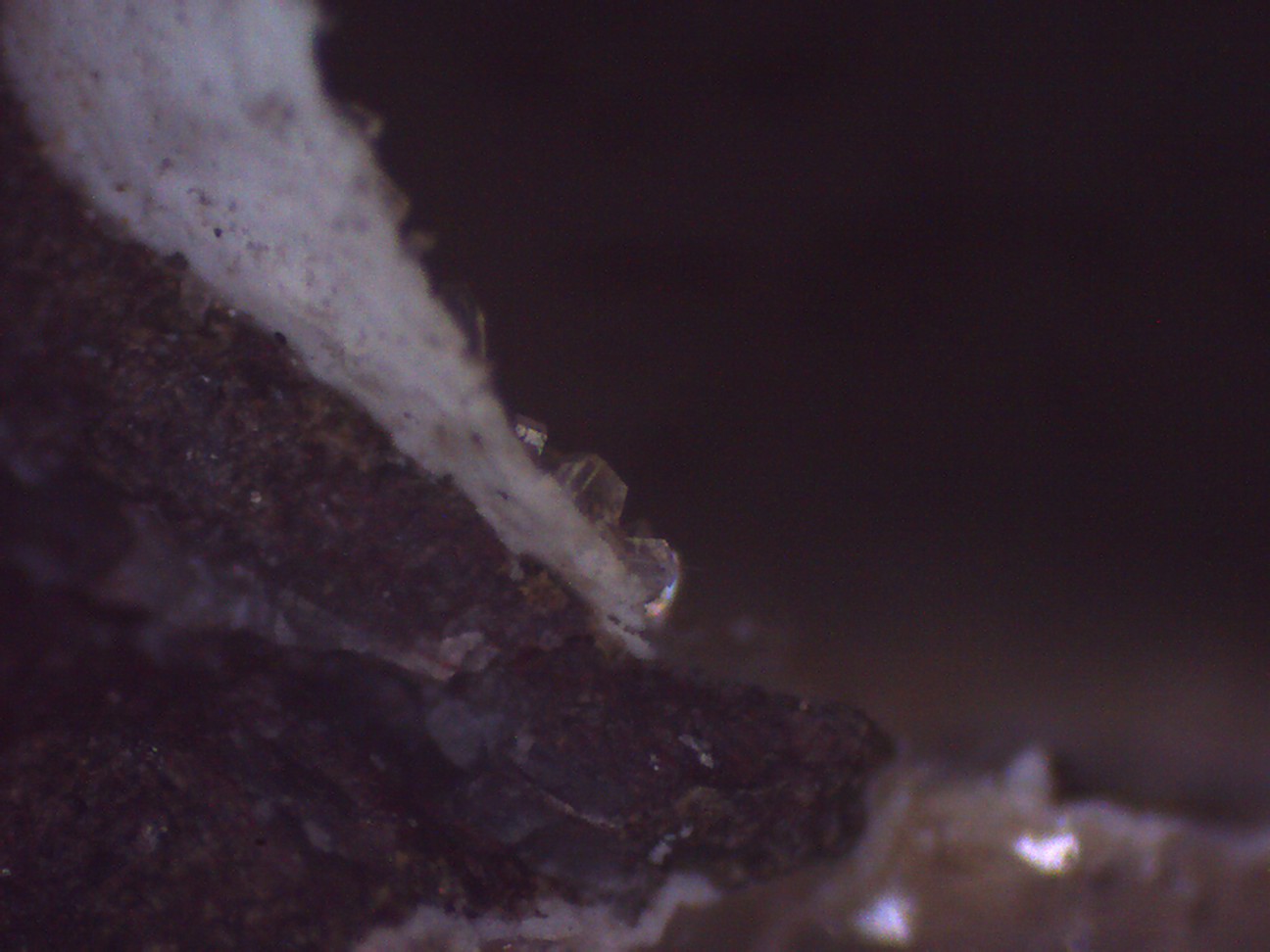 Clinoptilolita
5 x 5 cm. (detalle)
(Autor: Jose Bello)