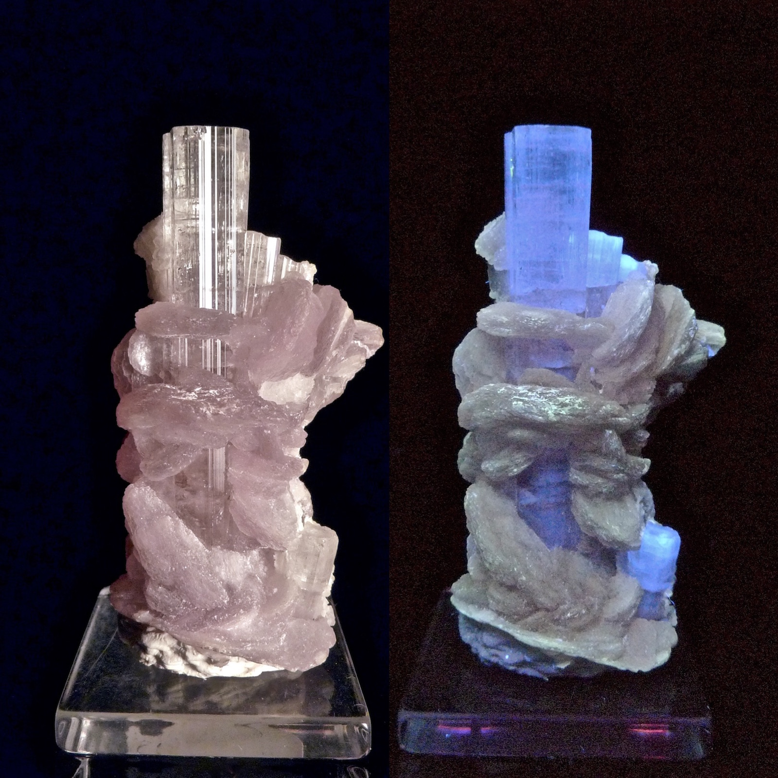Elbaíta (acroíta) + Lepidolita
4,5 cm de altura
(Autor: Josele)