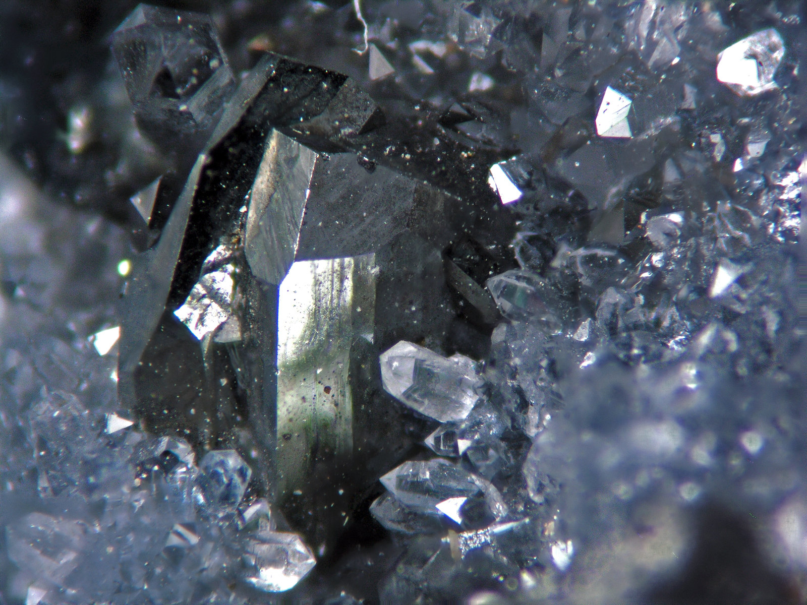 Tennantita
FOV 1 cm
(Autor: Cesar M. Salvan)