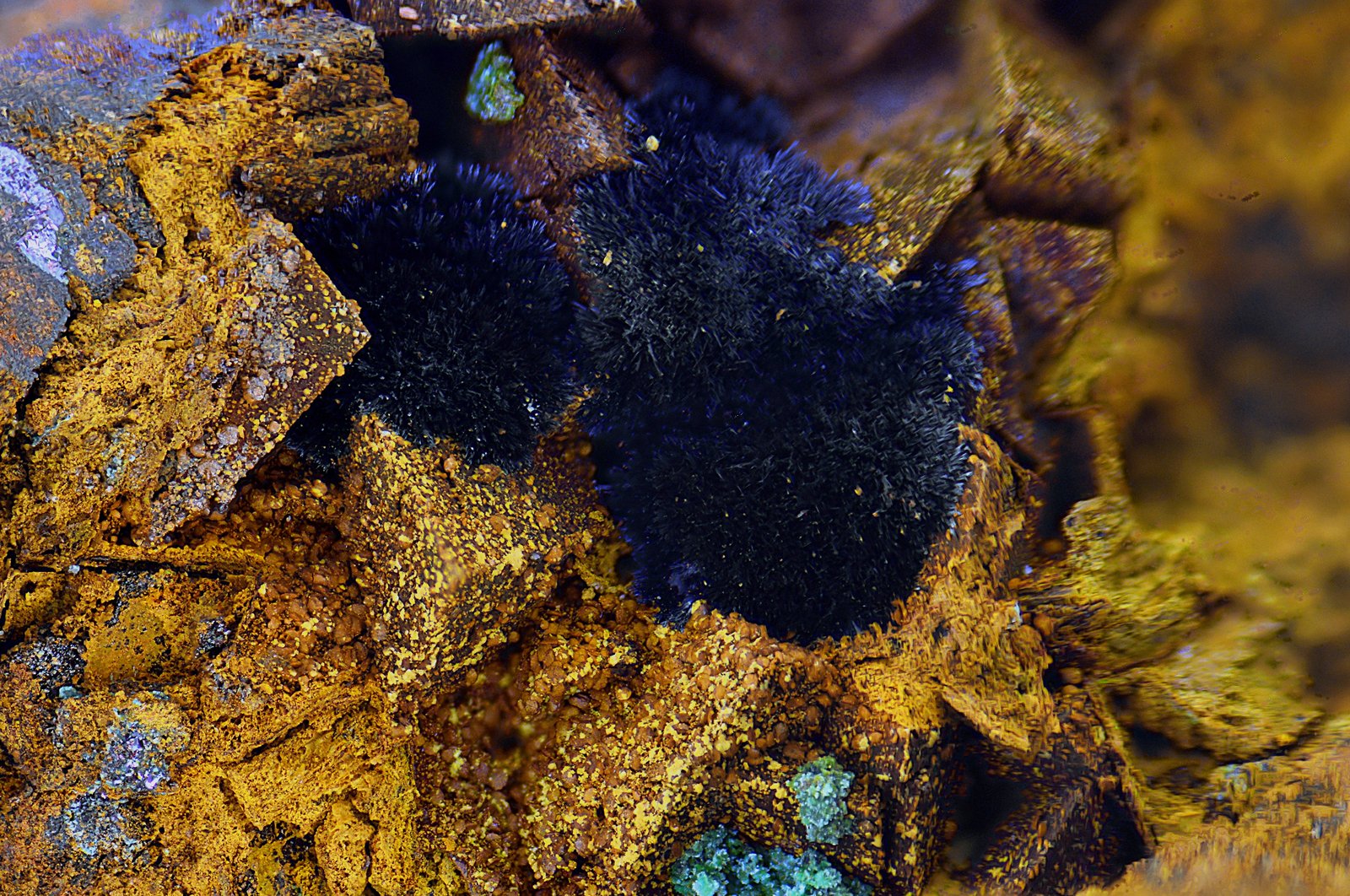 Tenorita
Campo de visión de 7 mm.
(Autor: Antonio Carmona)