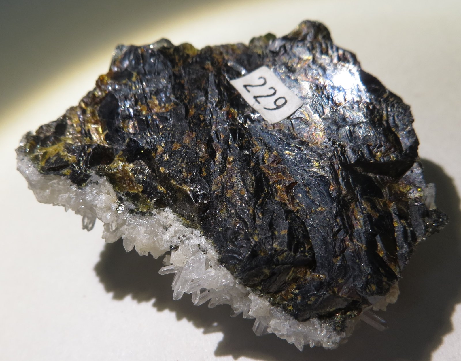 Esfalerita, Tetraedrita, Pirita, Cuarzo,
4 x 3 x 1,5 cm (peso 34 gram)
(Autor: Kaszon Kovacs)