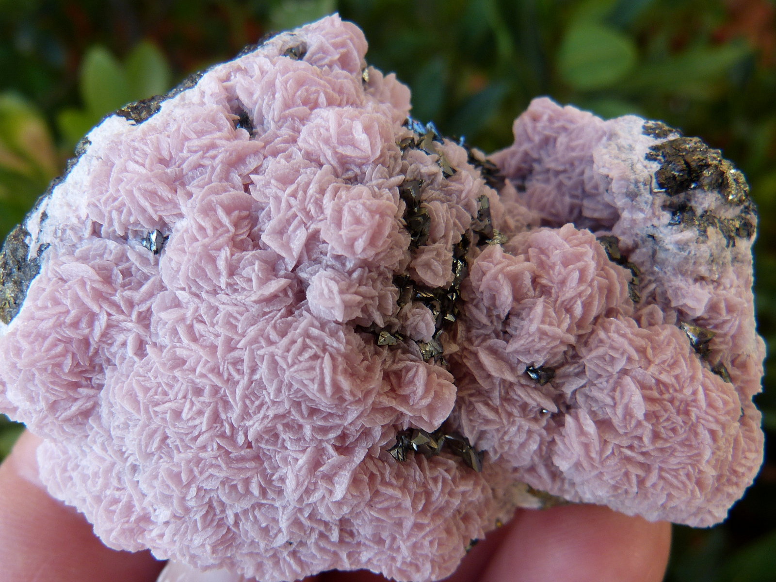 Tetrahedrita
7 x 5 cm
(Autor: nerofis2)