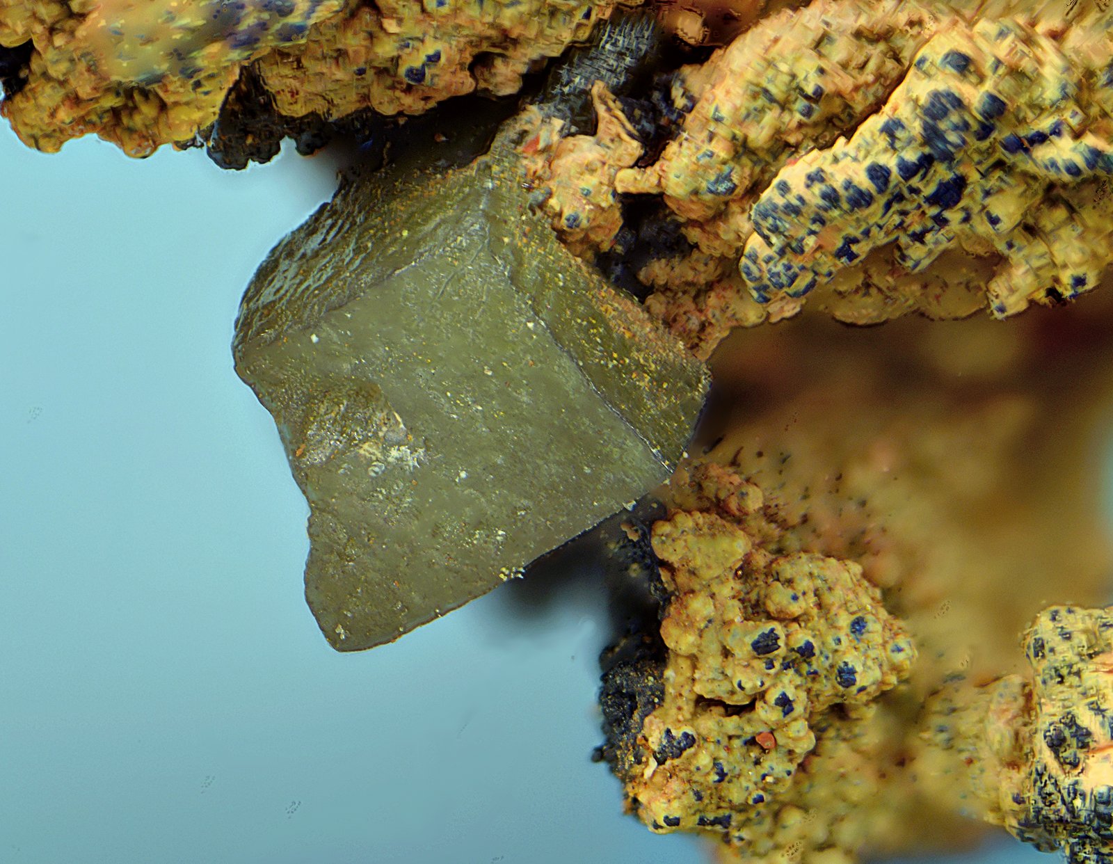 Clorargirita
Cristal de 2 mm.
(Autor: Antonio Carmona)