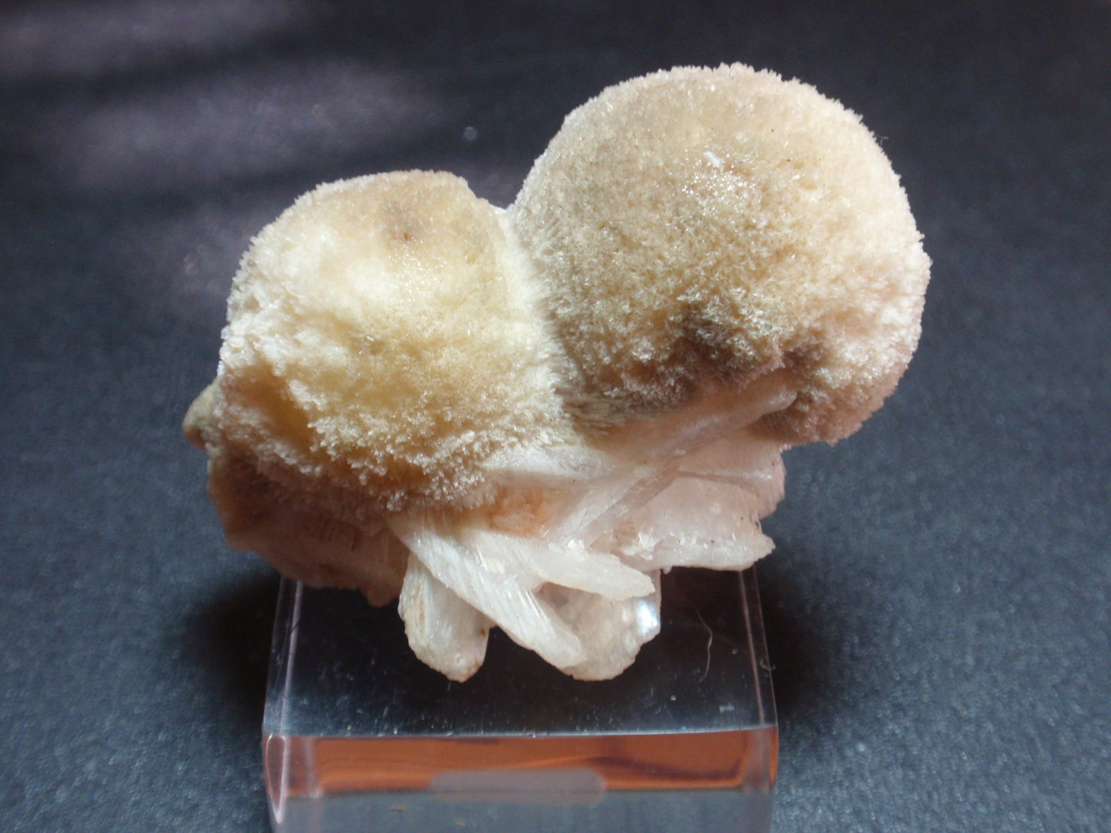 Thomsonita
55x40 mm
(Autor: Ignacio)