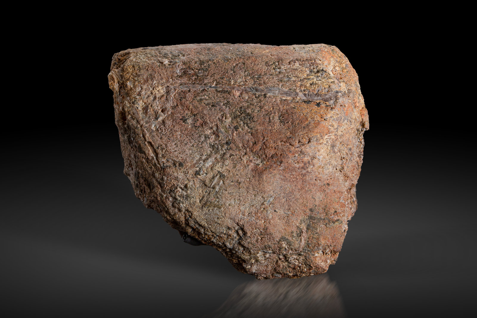 Thorita
7.5 x 5 x 6.5 cm
(Autor: Museo MIM)