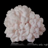 Calcita (variedad manganesífera)
87 x 90 x 45 mm.
(Autor: Rafael Galiana)