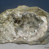 Celestina
13 x 7 cm
(Autor: Joan Niella)