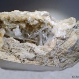 Celestina
10 x 6 cm
(Autor: Joan Niella)
