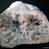 Celestina
9 x 7 cm
(Autor: Joan Niella)