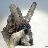 Cuarzo
6 x 10 cm
(Autor: Joan Niella)
