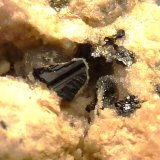 Proustita, Pirita, Dolomita
6 x 4 cm. la pieza 0,3 cm. el cristal
(Autor: javier ruiz martin)