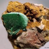 Malaquita
6 x 6 cm
(Autor: Joan Niella)