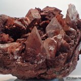 Yeso
7 x 7 cm
(Autor: Joan Niella)