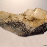 Dolomita
12 x 4 cm
(Autor: Joan Niella)