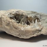 Celestina
14 x 5 cm
(Autor: Joan Niella)