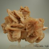 Yeso (variedad rosa del desierto)
91 x 69 x 48 mm.
(Autor: Rafael Galiana)