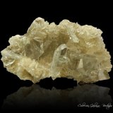 Yeso (variedad selenita)
117 x 66 x 60 mm
(Autor: Rafael Galiana)