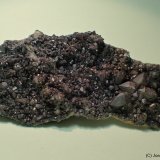Cuarzo
10 x 5 cm
(Autor: Joan Niella)