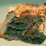 Malaquita
6 x 6 cm
(Autor: Joan Niella)
