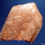 Stellerita
45 x 33 mm
(Autor: Joan Niella)