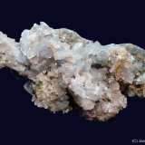 Celestina
8 x 4 cm
(Autor: Joan Niella)