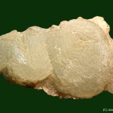 Prehnita
55 x 40 mm
(Autor: Joan Niella)