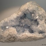 Celestina
9 x 6 cm
(Autor: Joan Niella)