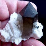 Cuarzo (variedad ahumado), Albita
5 x 4 cm. Cristal 4 cm.
(Autor: javier ruiz martin)